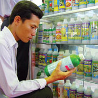 H&agrave; Nội: Gần 100 trường hợp vi phạm về thuốc bảo vệ thực vật