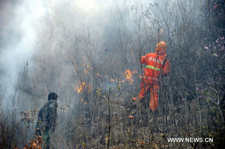 Trung Quốc: Cháy hàng trăm hecta rừng