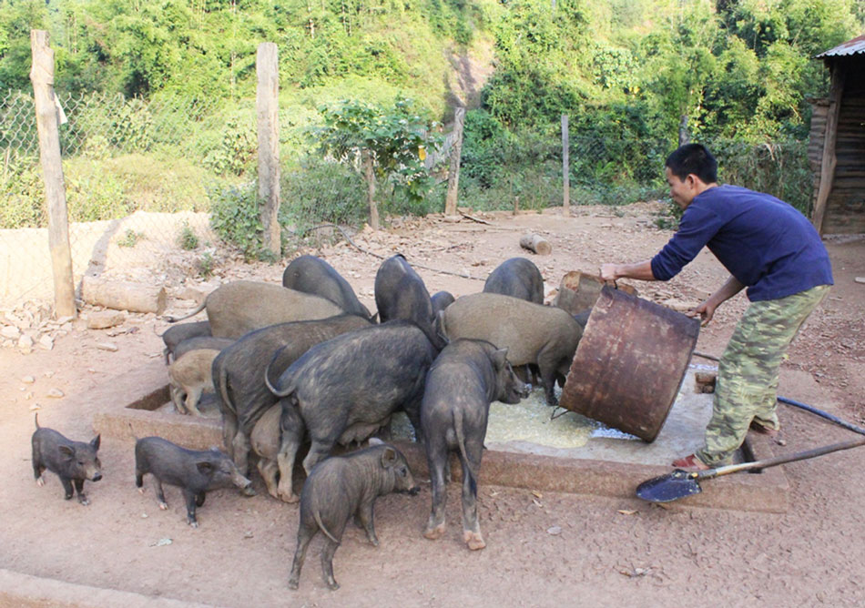 Bảo vệ vững chắc bi&ecirc;n cương