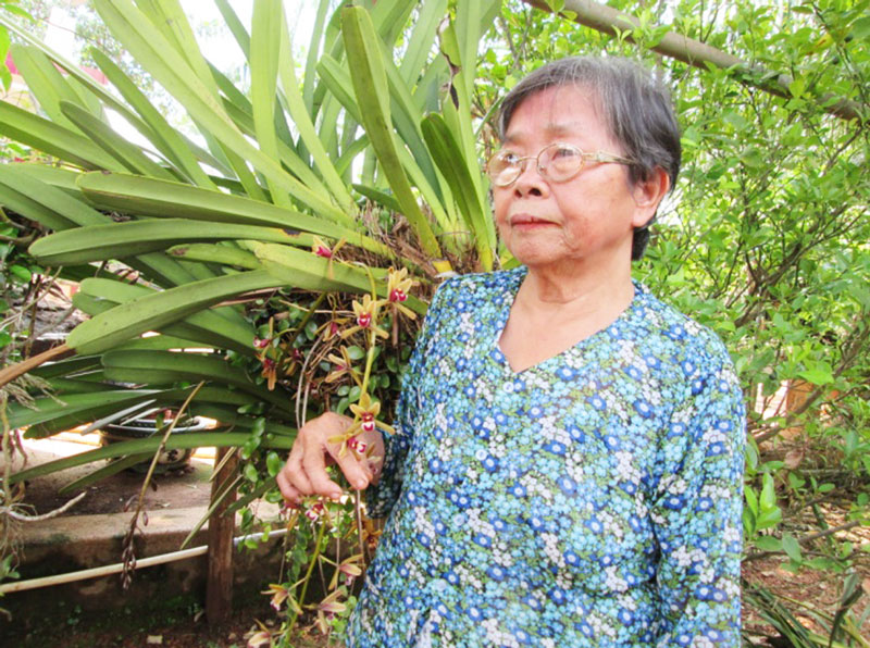 Nữ d&acirc;n c&ocirc;ng tr&ecirc;n chiến trường Điện Bi&ecirc;n