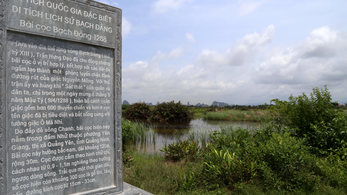 Giải m&atilde; b&iacute; ẩn b&atilde;i cọc Bạch Đằng Giang