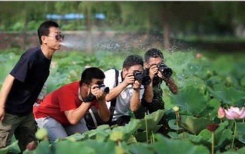 Những hình ảnh độc - Phần 3