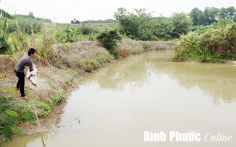 Hướng dẫn thu tiền thu&ecirc; đất, thu&ecirc; mặt nước