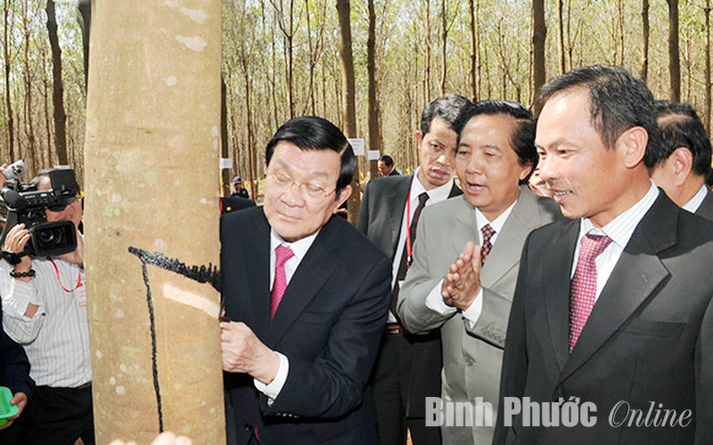 Các dự án trồng cao su của VRG thắt chặt tình hữu nghị Việt - Lào