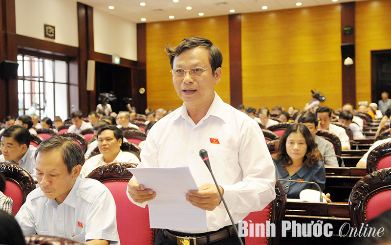 Đo&agrave;n đại biểu Quốc hội tỉnh: Đ&oacute;ng g&oacute;p nhiều &yacute; kiến quan trọng v&agrave;o c&ocirc;ng t&aacute;c lập ph&aacute;p