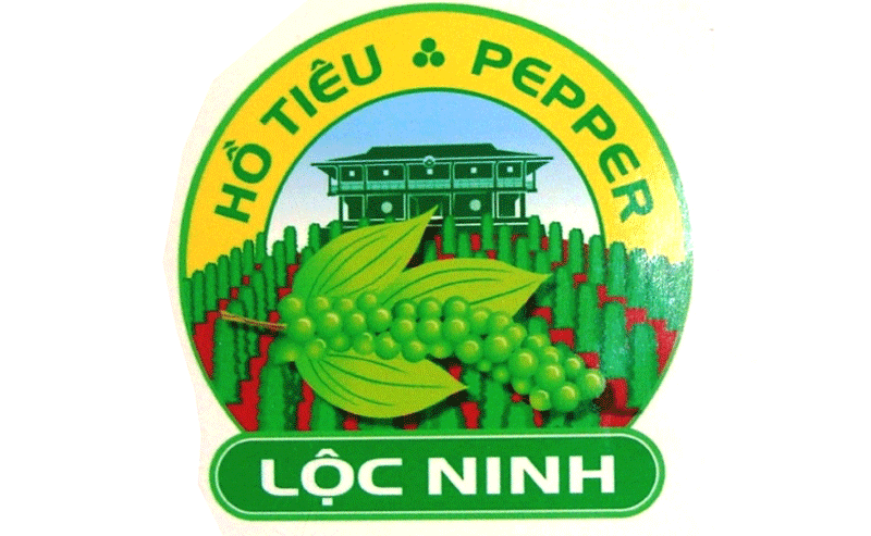 Hồ tiêu Lộc Ninh được cấp thương hiệu