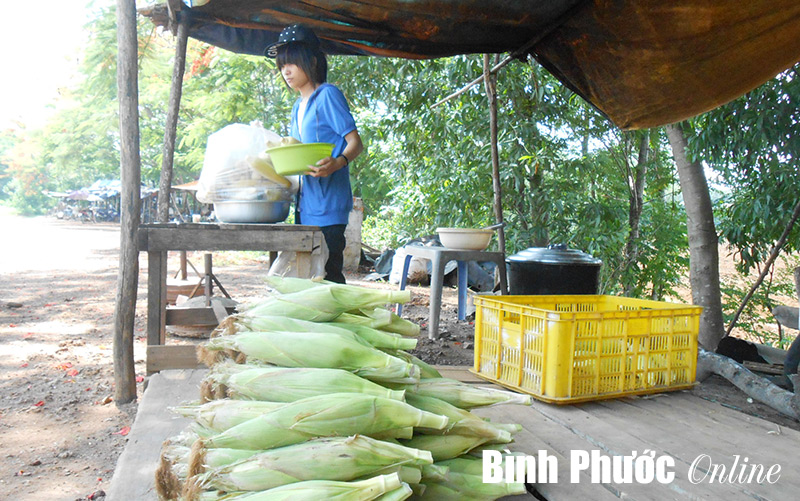 Nguy hiểm rình rập “chợ bắp”