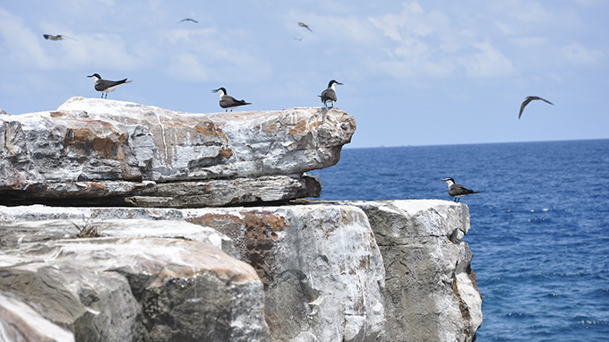 Lên rừng xuống biển Thổ Chu