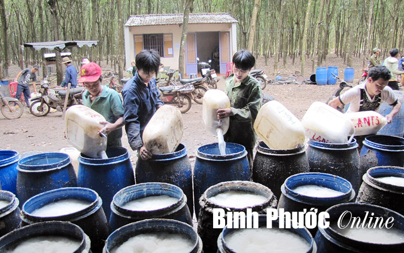 TRUNG ĐO&Agrave;N 717: 15 năm khẳng định vị thế