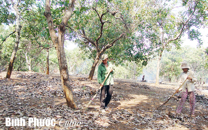 Phương pháp định giá đất