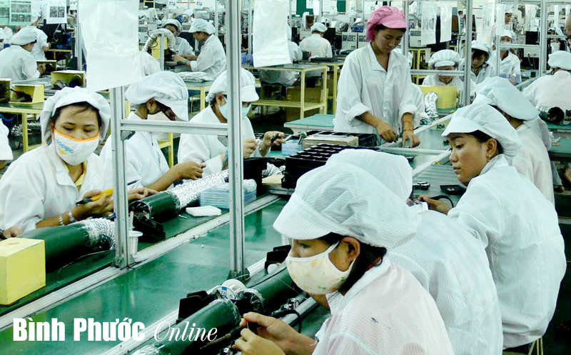 Xử lý nợ đọng thuế cần cơ chế cứng rắn hơn