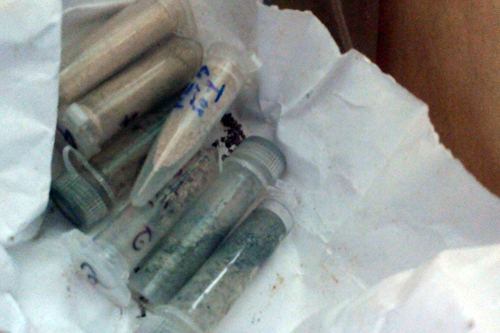 Kh&ocirc;ng thể gi&aacute;m định ADN xương người trong vườn nh&agrave; b&iacute; thư x&atilde;