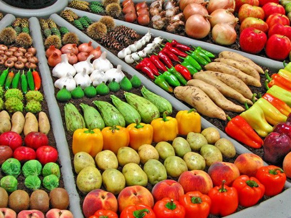 Biện pháp trừng phạt Nga làm 130.000 người châu Âu mất việc