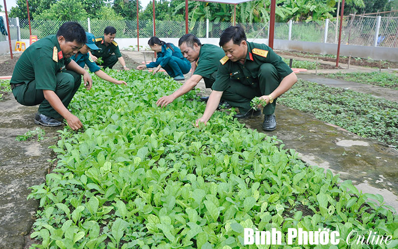 Học B&aacute;c để ho&agrave;n th&agrave;nh tốt nhiệm vụ