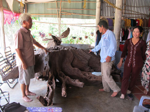 Cây gì cũng ngâm, rượu gì cũng uống