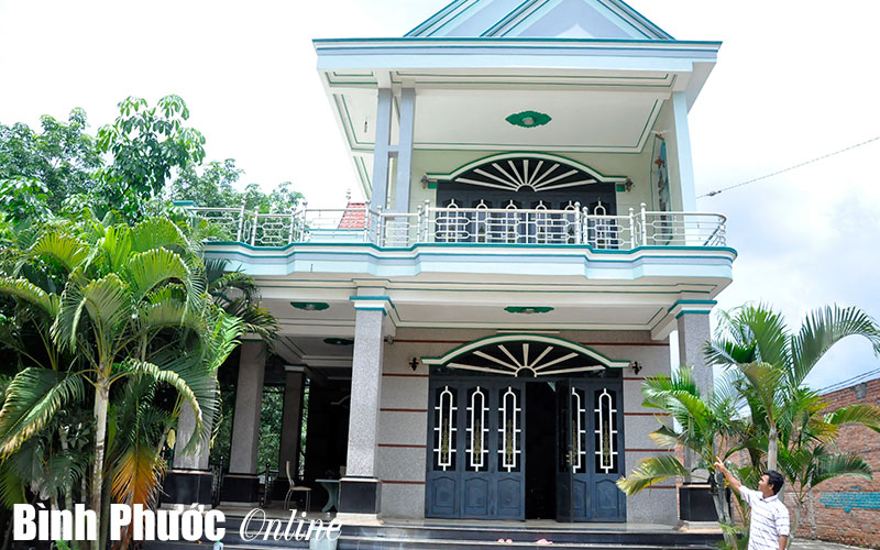 Cây cao su không phụ người kiên định