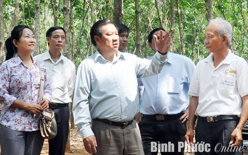 Việc thực hiện Quy định số 101-QĐ/TW ở B&ugrave; Gia Mập