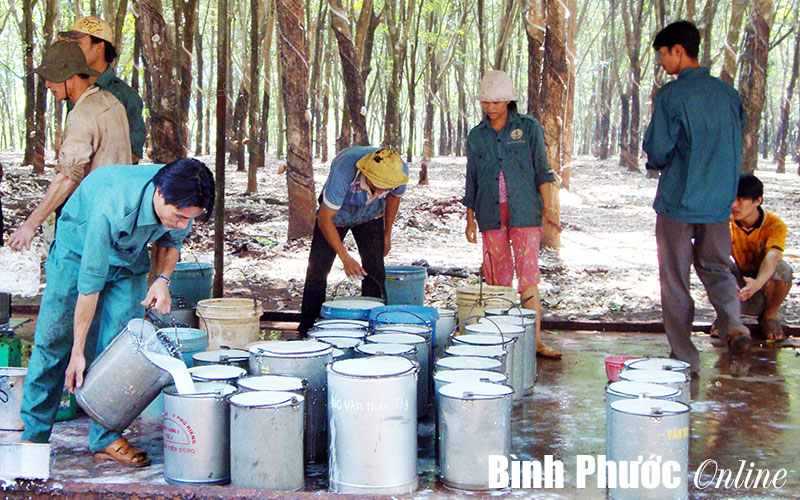 Thực hiện tốt ch&iacute;nh s&aacute;ch với người lao động để ph&aacute;t triển sản xuất