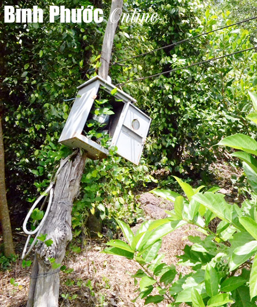 “Khát” điện lưới quốc gia