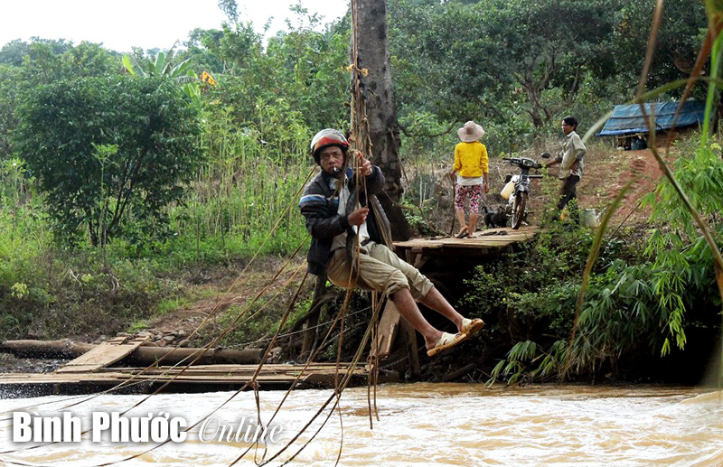 Đình chỉ hoạt động cầu cáp treo qua sông Lấp