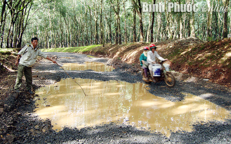 Đường ĐH312 bị ph&aacute; n&aacute;t