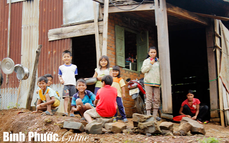 Gi&aacute;m đốc Sở VH-TT&DL trả lời kiến nghị của cử tri