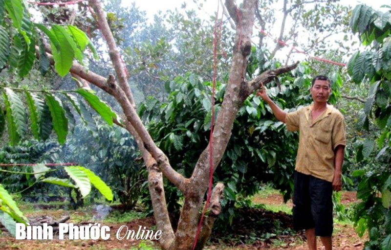 Bị ngăn cấm, giết ch&aacute;u người trong mộng để trả th&ugrave;