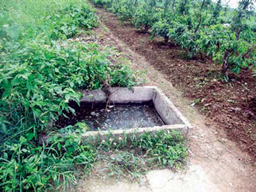 Độc chi&ecirc;u ẩn m&igrave;nh của kẻ trốn t&ugrave;