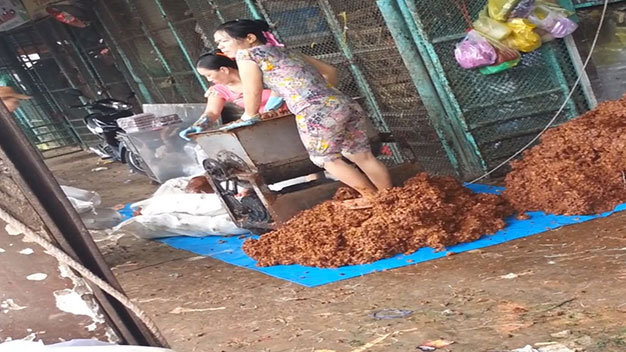 Cận cảnh công nghệ làm me vắt... bằng chân bẩn