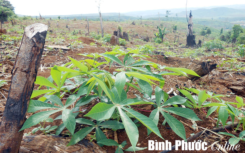 Sở TN-MT trả lời chất vấn của đại biểu HĐND tỉnh