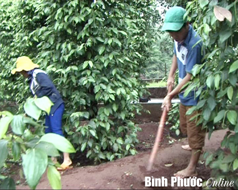 Tấm gương khiếm thị giàu nghị lực
