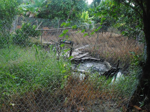 Bỗng dưng bị khổ vì... 1,5 tấn vàng!