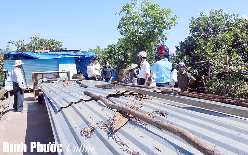 Lộc Thành sau cơn lốc 