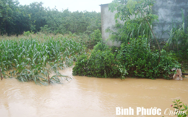Đồng Tiến chủ động phòng, chống lũ lụt