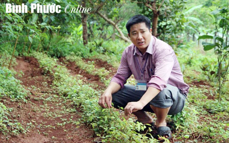 Mưu sinh ở vùng đệm Vườn quốc gia Bù Gia Mập