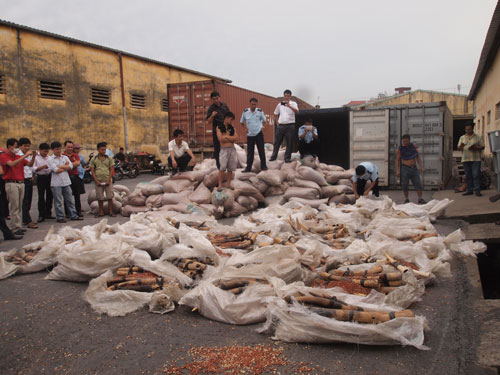 Ph&aacute;t hiện 1 tấn ng&agrave; voi trong container lạc hạt