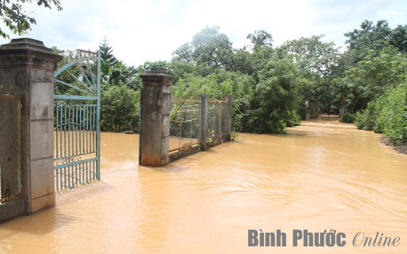 Thủy điện xả lũ, nhiều nhà dân chìm trong nước
