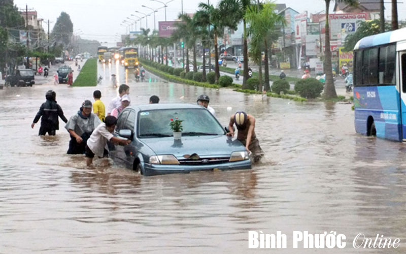 Sở GT-VT trả lời chất vấn của đại biểu HĐND tỉnh