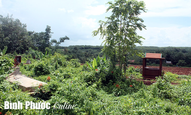 Người dân Minh Tâm mong di dời nghĩa trang