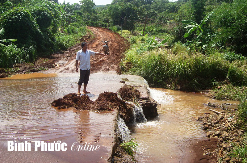 Người dân mong mỏi một cây cầu