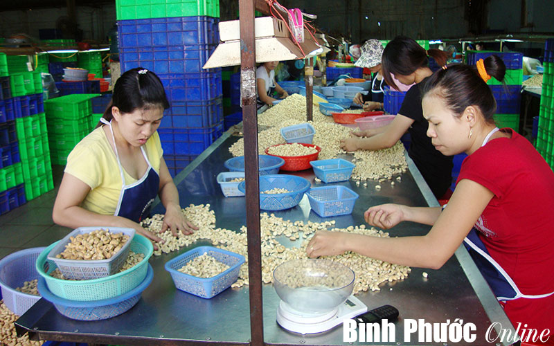 Những điểm mới trong dự thảo Luật Doanh nghiệp sửa đổi