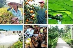 Thủ tướng chỉ thị tăng cường thực hiện Chương tr&igrave;nh x&acirc;y dựng n&ocirc;ng th&ocirc;n mới