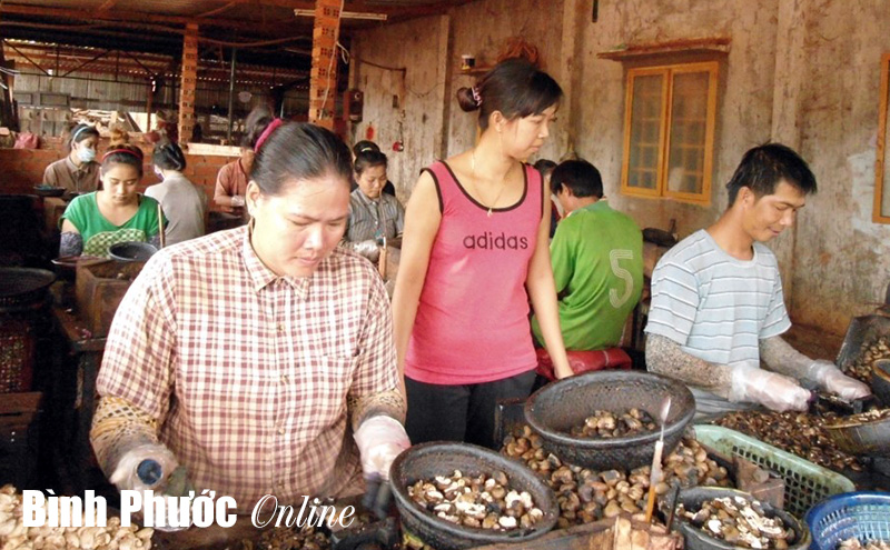 Thị xã Phước Long đẩy mạnh thu ngân sách trong 6 tháng cuối năm 2014