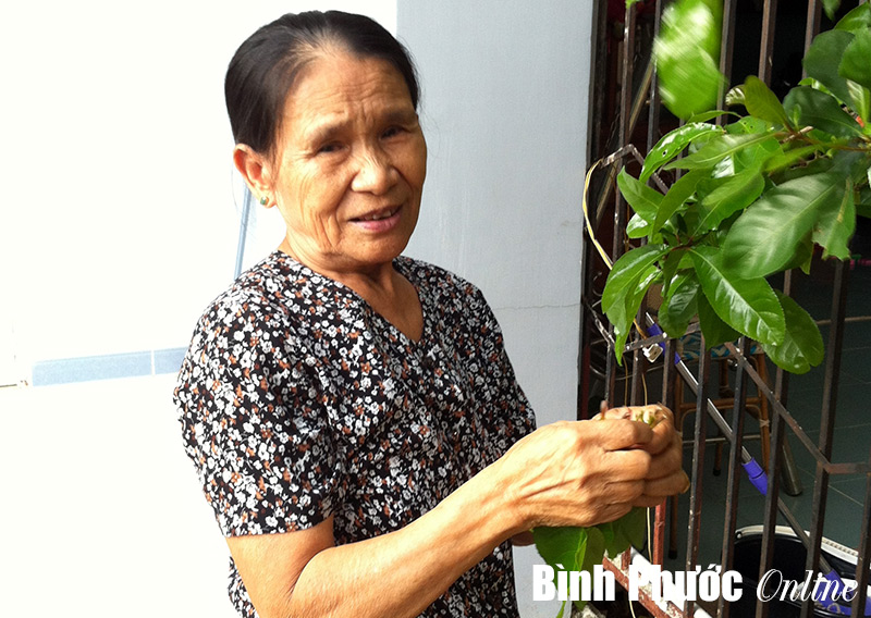 Quốc khánh năm ấy, Bác đã ra đi...