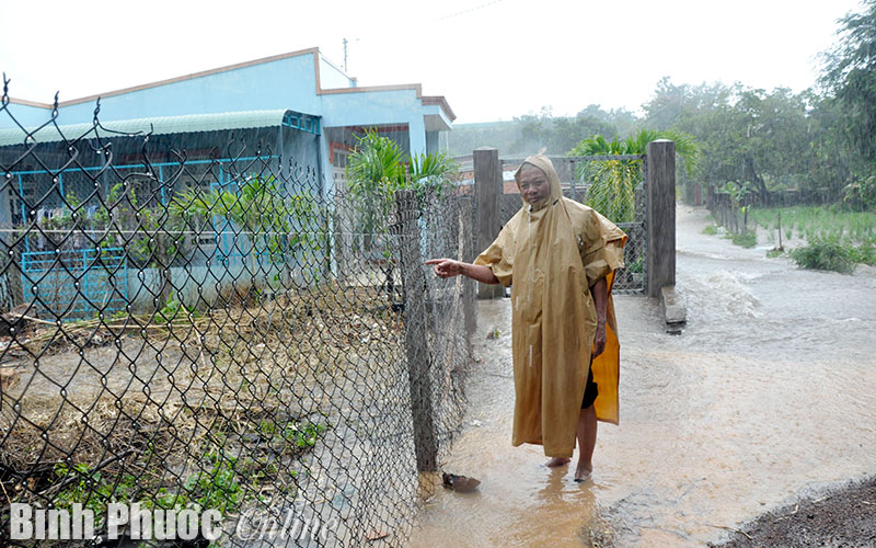 Sống treo trong vùng quy hoạch treo
