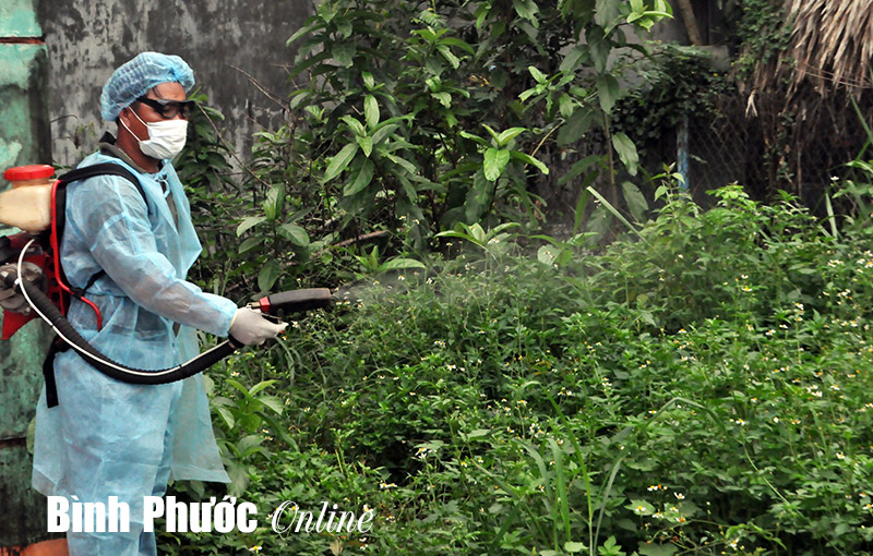 Sốt xuất huyết giảm so cùng kỳ năm 2013