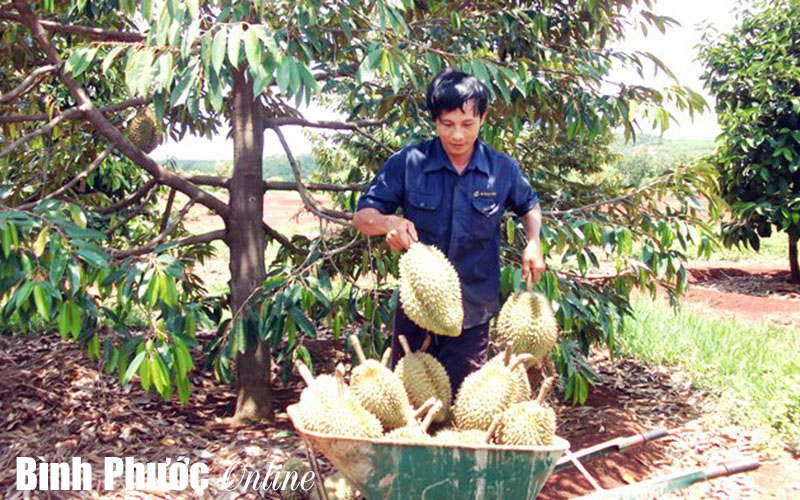 7/47 đề tài đăng ký được duyệt nghiên cứu khoa học cấp tỉnh năm 2015