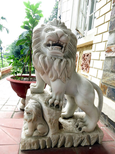 Dọn dẹp sư tử lạ