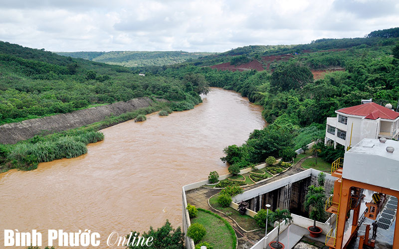 Triển khai thi h&agrave;nh Luật Bảo vệ m&ocirc;i trường