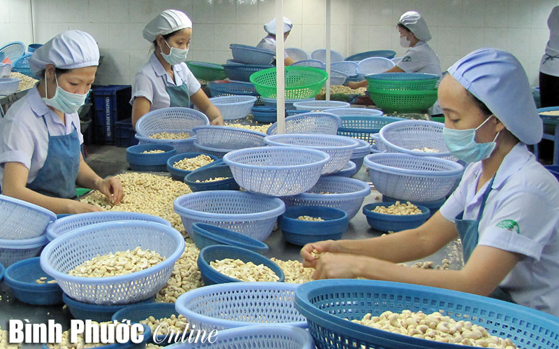 Triển khai xây dựng kế hoạch KT-XH giai đoạn 2016-2020